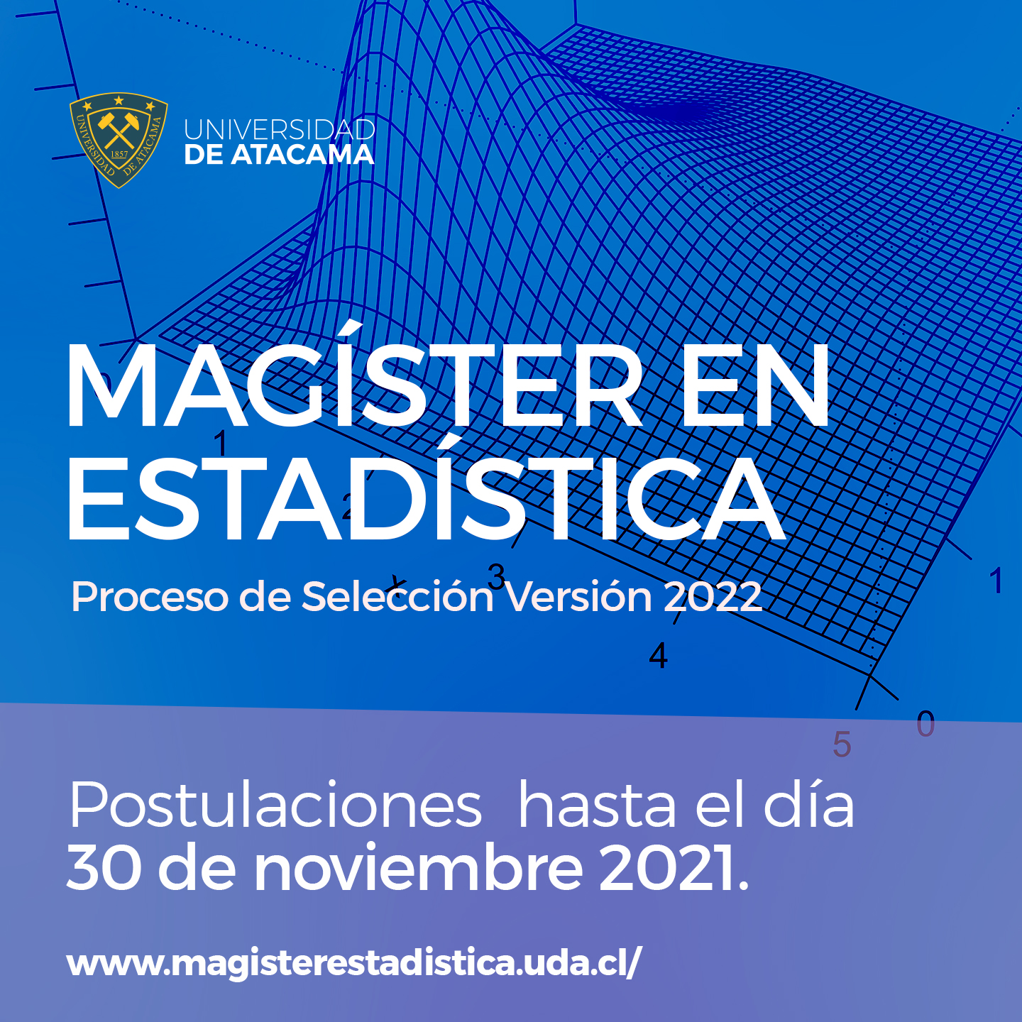 Proceso de Selección Magister en Estadística versión 2021